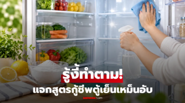 แจกสูตรขจัดกลิ่นคาว  คราบฝังลึก ในตู้เย็น สะอาดปลอดภัยไร้สารเคมี